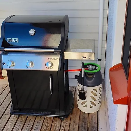 Apartament Laskijanlinna *